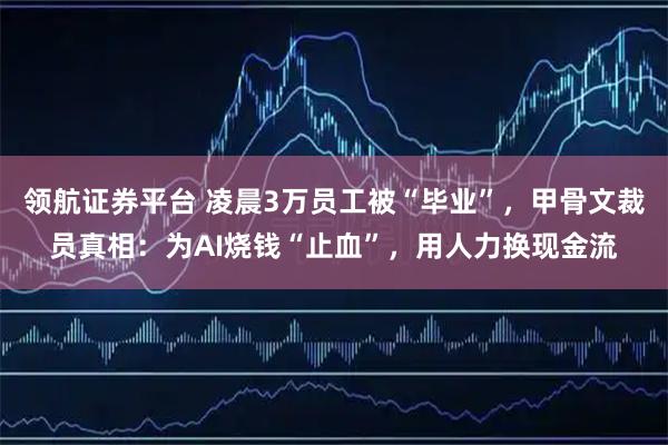 领航证券平台 凌晨3万员工被“毕业”，甲骨文裁员真相：为AI烧钱“止血”，用人力换现金流