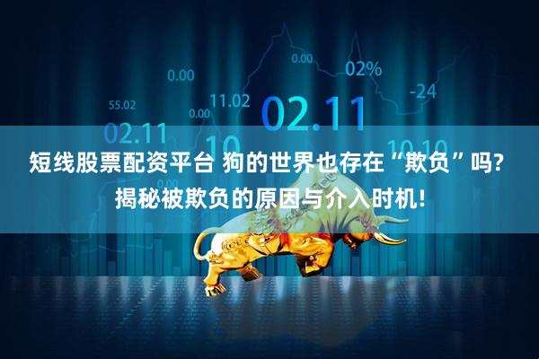 短线股票配资平台 狗的世界也存在“欺负”吗? 揭秘被欺负的原因与介入时机!