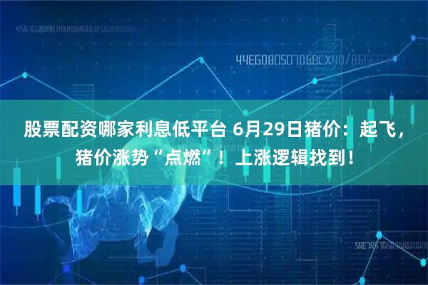 股票配资哪家利息低平台 6月29日猪价：起飞，猪价涨势“点燃”！上涨逻辑找到！